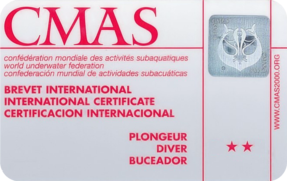 CMAS Silver Training