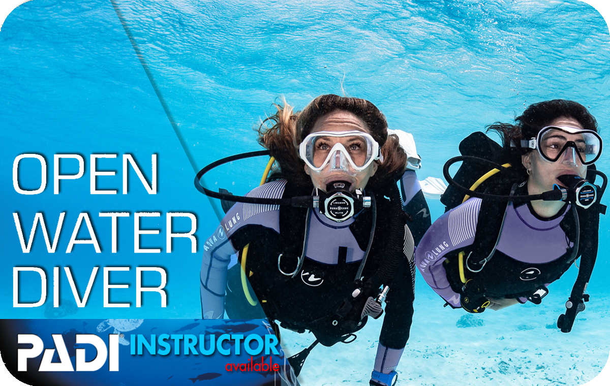 PADI Open Water Diver Kurs