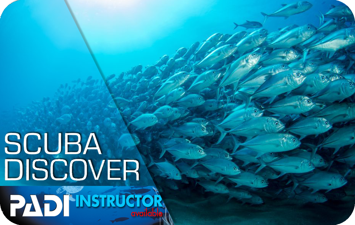 Scuba PADI