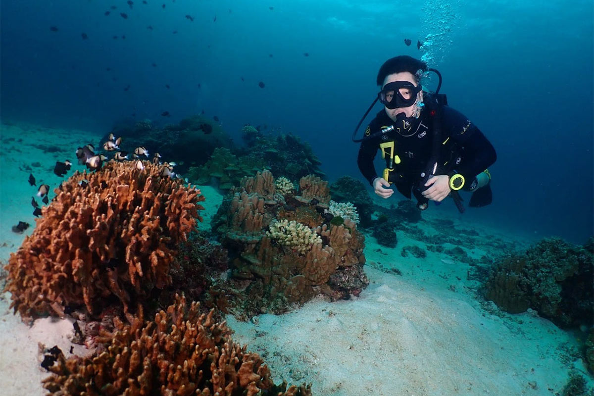Tauchsafari Hin Daeng Hin Muang Steilwaende Thailand