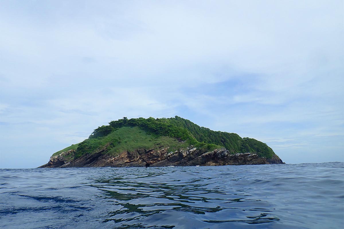 Tauchen Koh Bon Manta Rochen Phuket