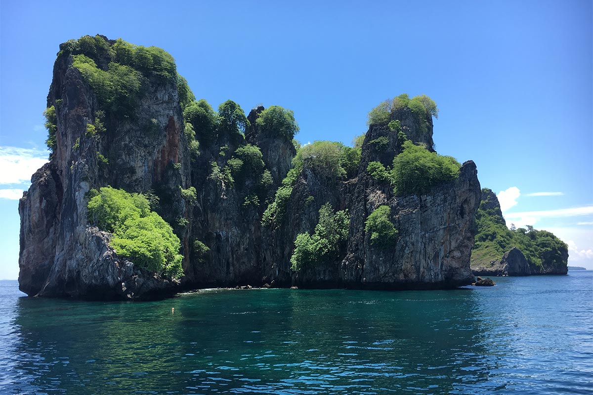 Tauchen Phi Phi Islands Schildkröten Haie Phuket